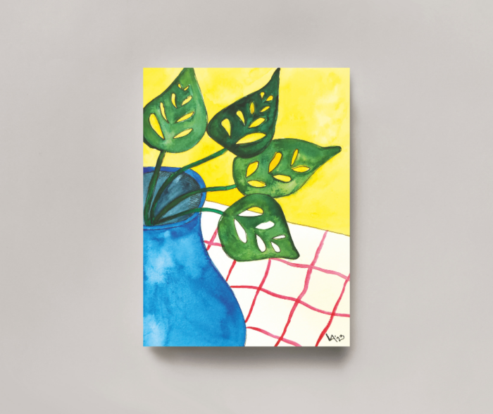 Monstea i blå krukke